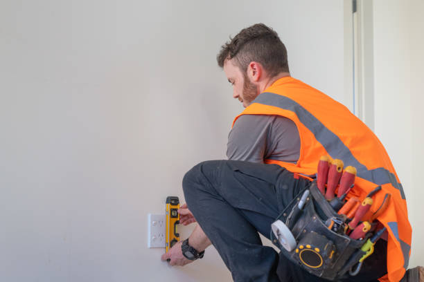 Best Electric Panel Repair  in Riverview, DE